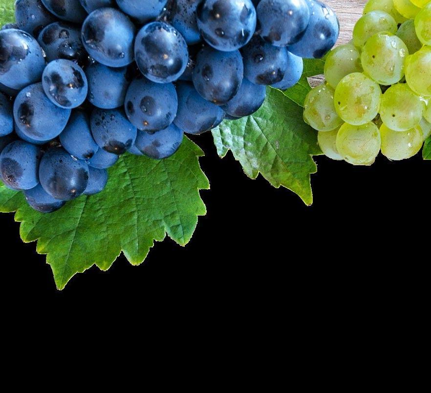 Boost Your Immunity with Healthy Foods