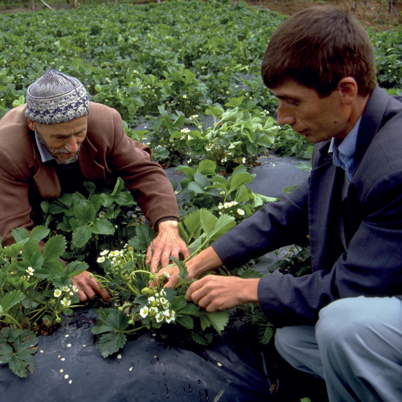 Partnerships article cover image