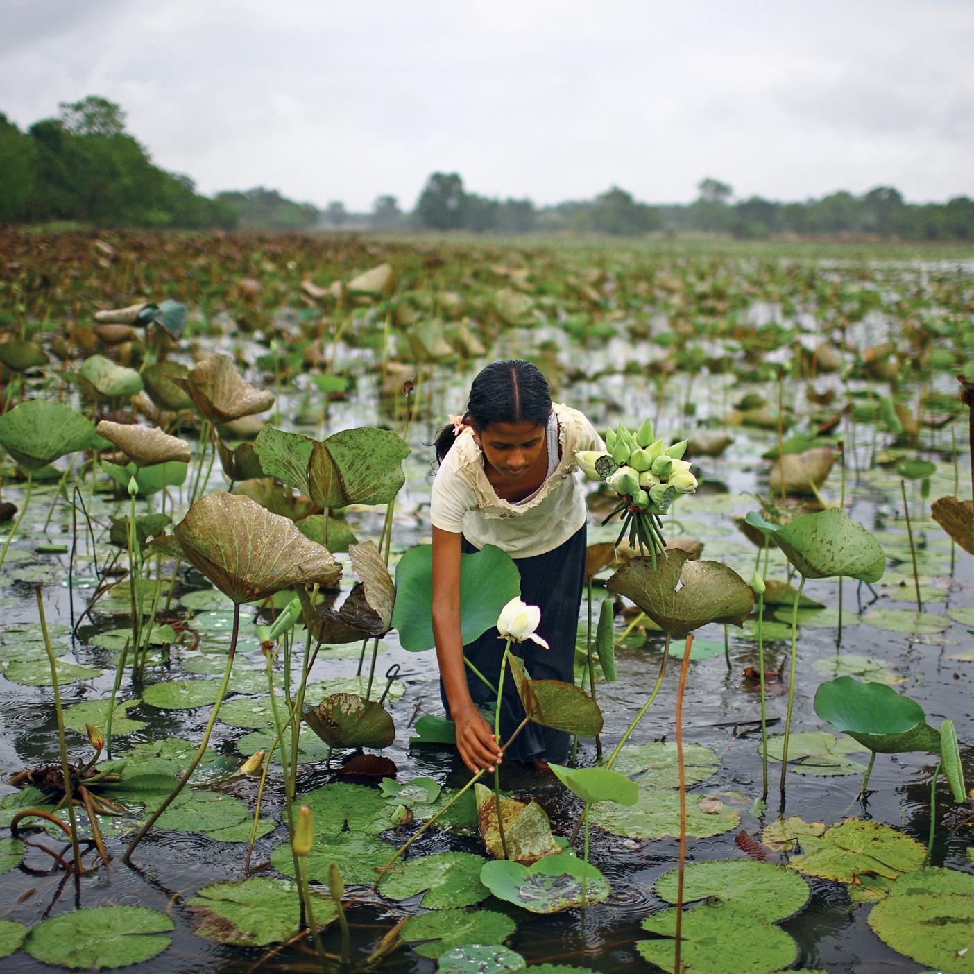 Peace article cover image