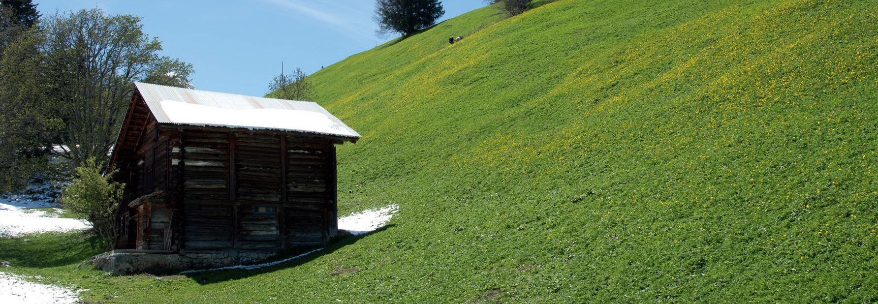 Volkshochschule Oberhasli/Region Brienz