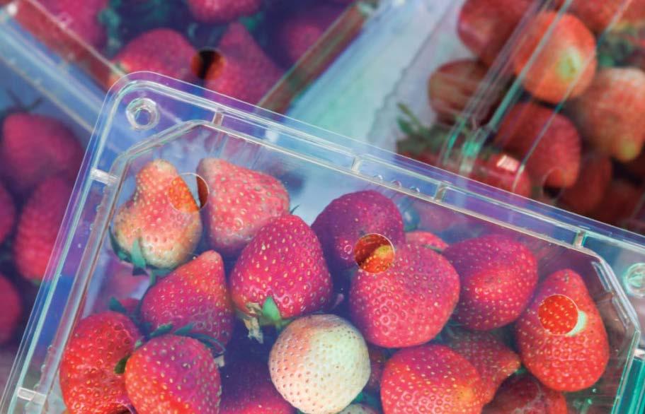 global de aditivos El packaging como elemento clave