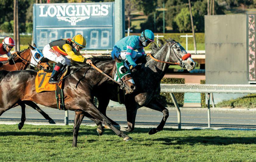 Article from: California Thoroughbred Magazine February 2021