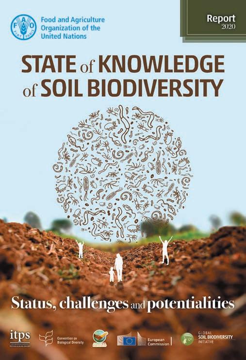 O Estado do conhecimento da Biodiversidade do Solo