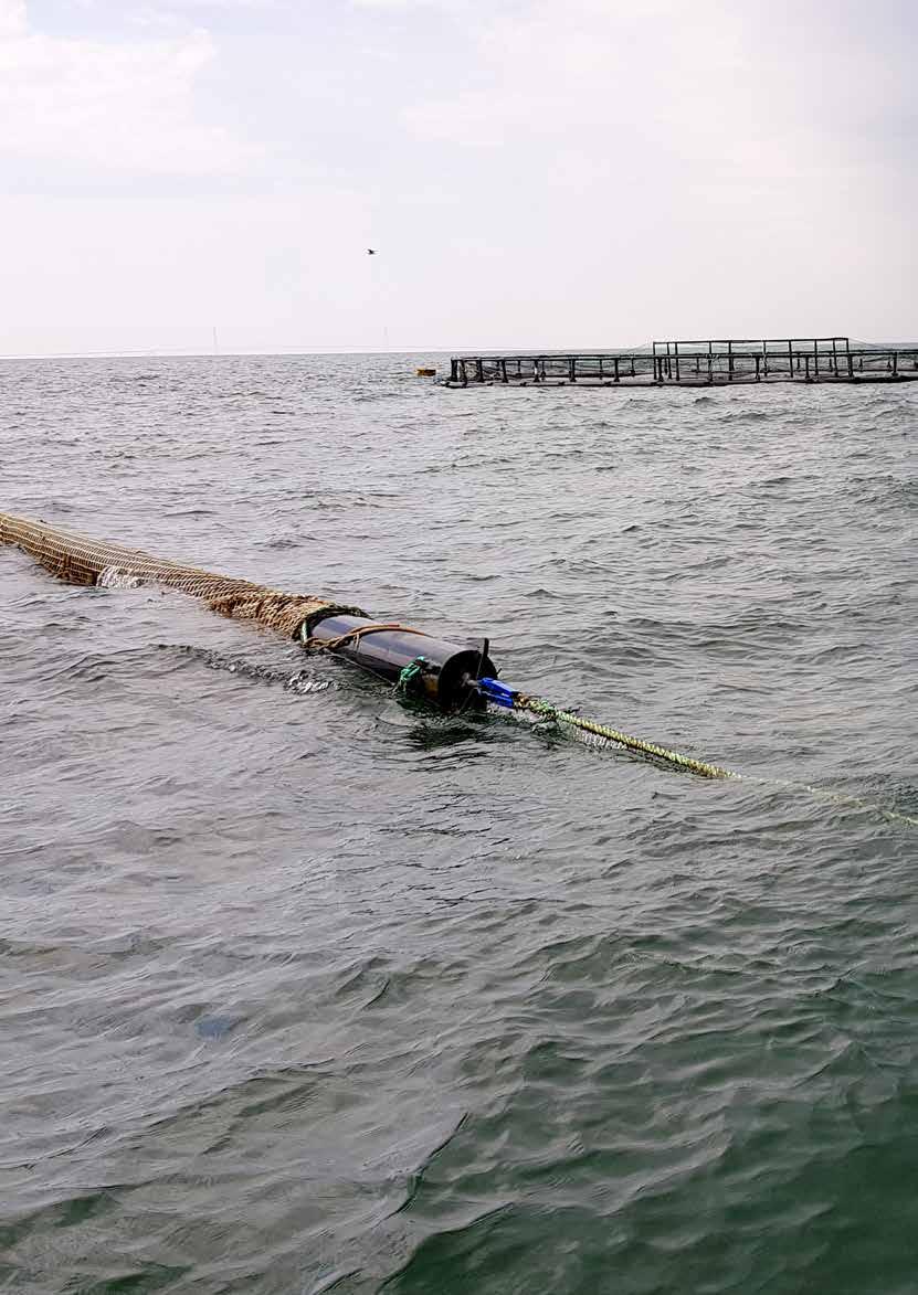 Shell Fish Farming