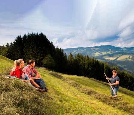 Naturpark Almenland
