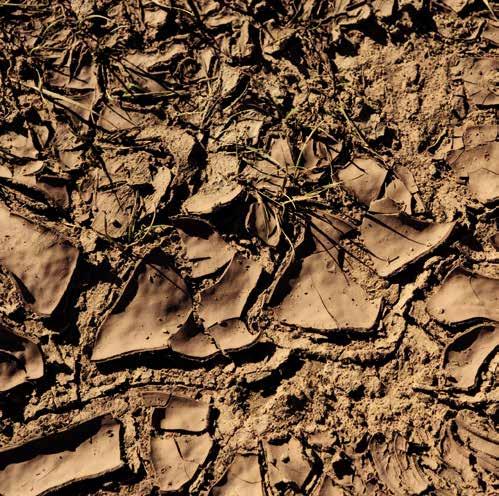 Yield: Taking Measure of the Land