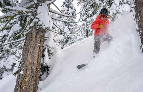 Tree Well & Deep Snow Safety