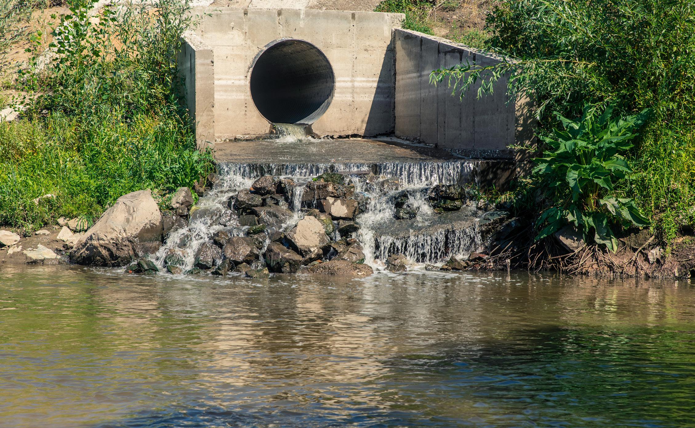 Back to Basics—Structure: the Overlooked Facet of Community Pond Management