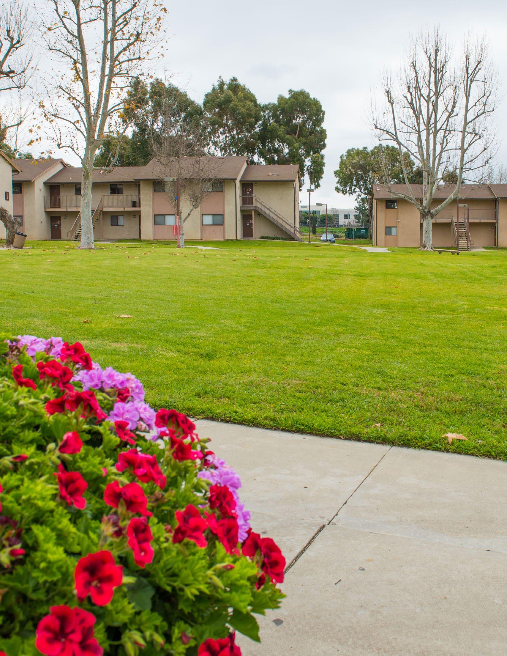 CSUDH Magazine [Spring 2021] by California State University, Dominguez Hills - Issuu