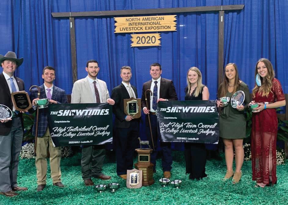 horse-division-issuu