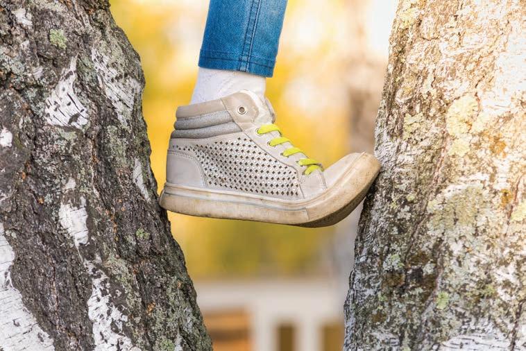 Stuck In A Tree