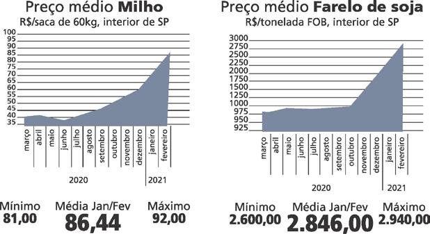 Article from: Revista do OvoSite - Edição 61