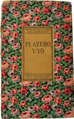 Platero y nosotros