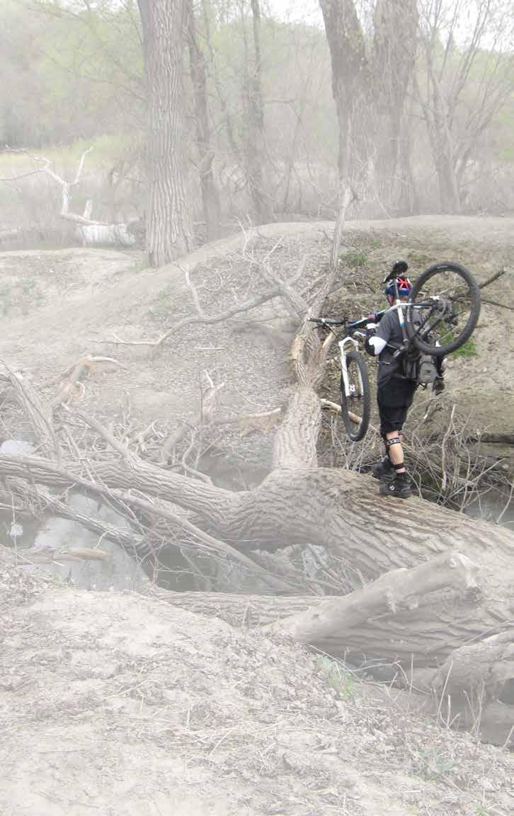 Mountain Biking Rules of the Road