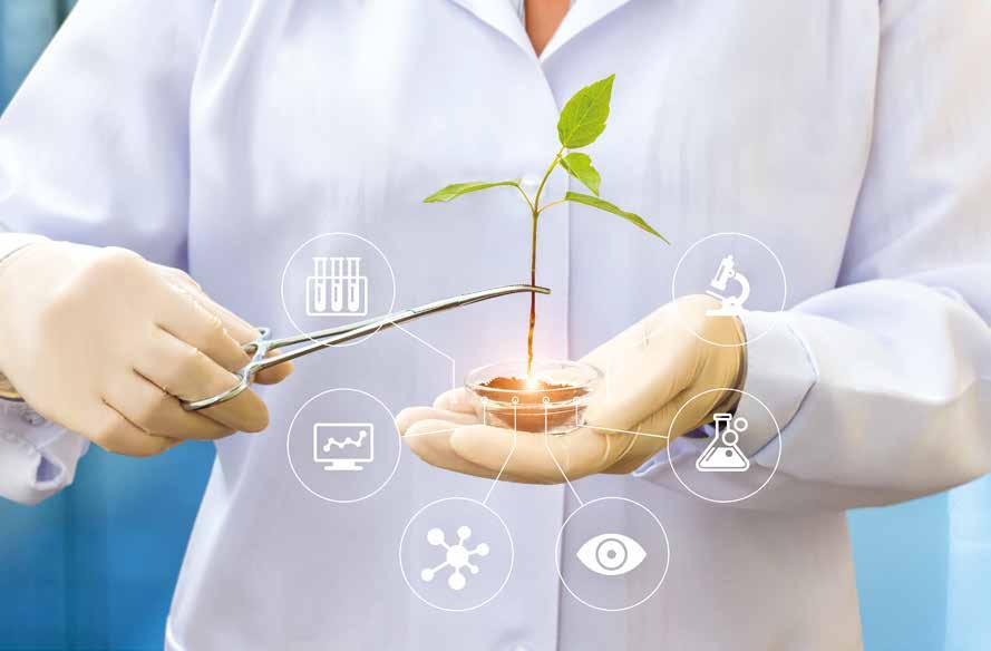 Científicos desarrollaron dispositivo para‘comunicarse’ con las plantas