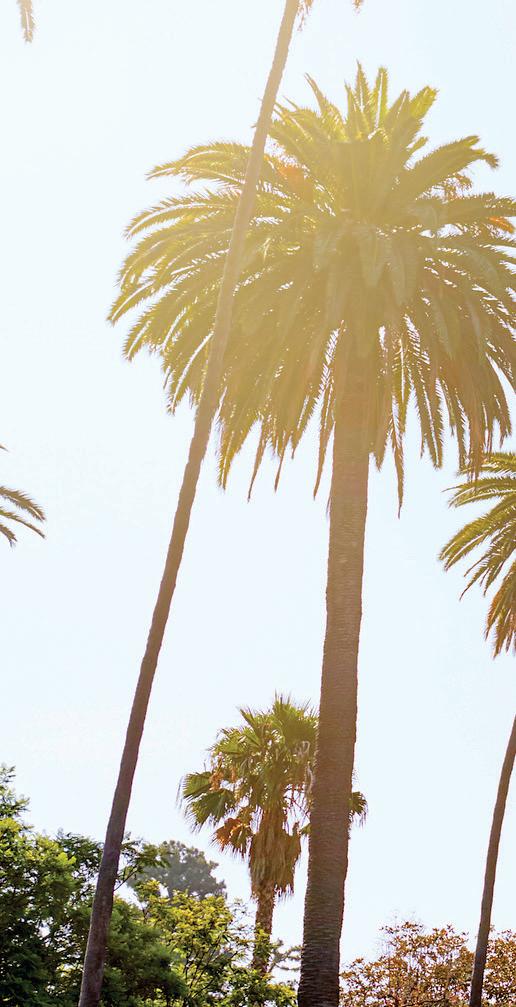 About Southern California