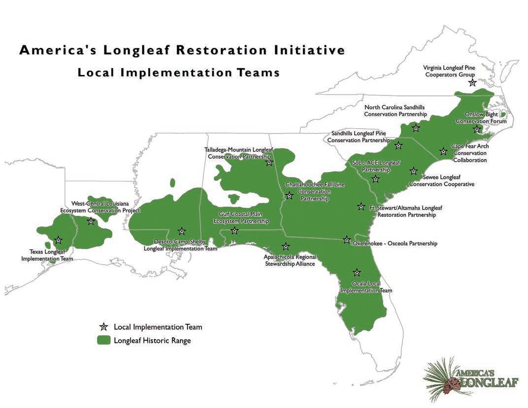 REGIONAL UPDATES