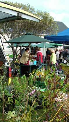 Nearby Neighbours - Mangawhai