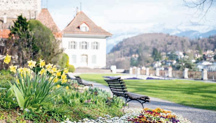 Article from: Spiez Info – Mai 2021