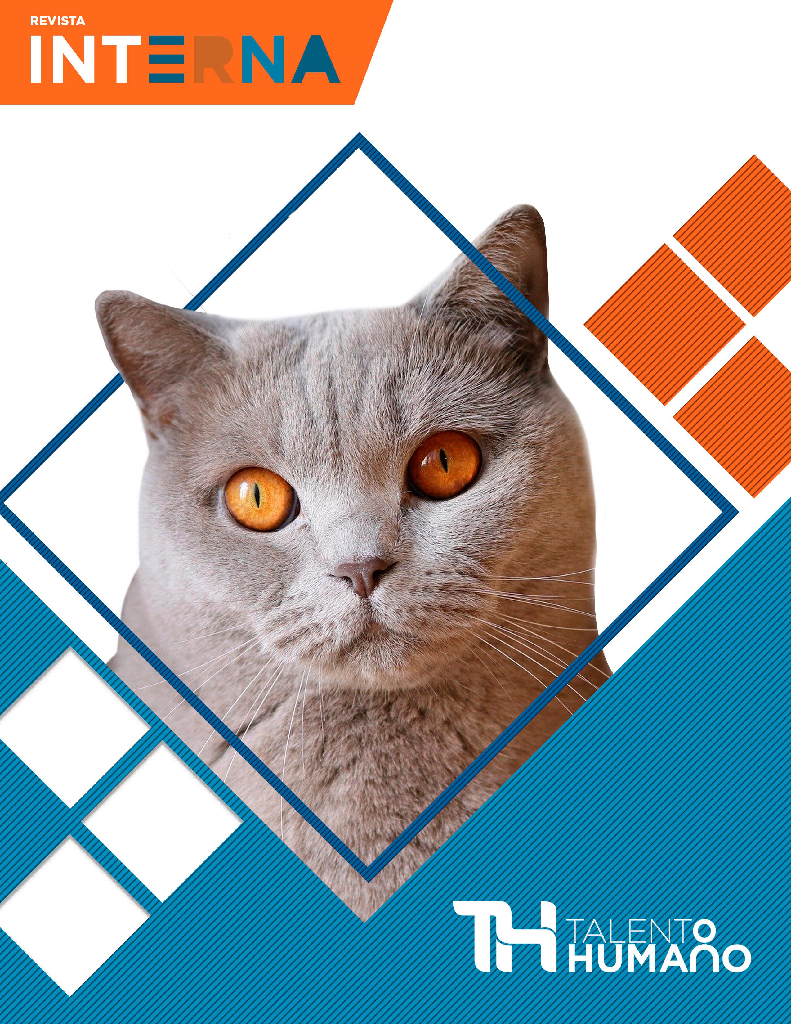 Mi Gato Gotea Agua Por La Boca Hidratación Saludable: Cómo ayudar a tu - Issuu