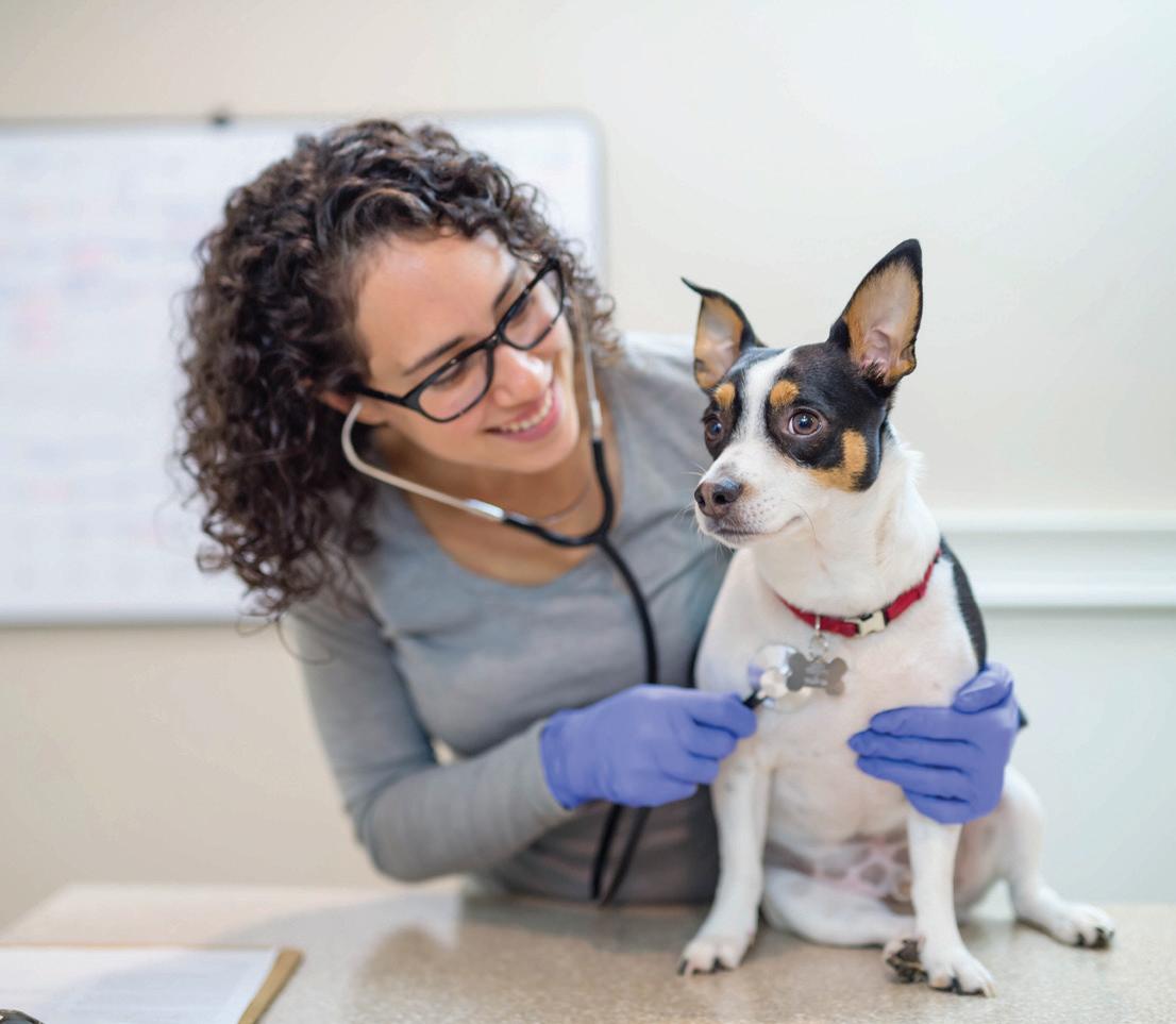 Fear, Anxiety, Stress and Veterinary Visits