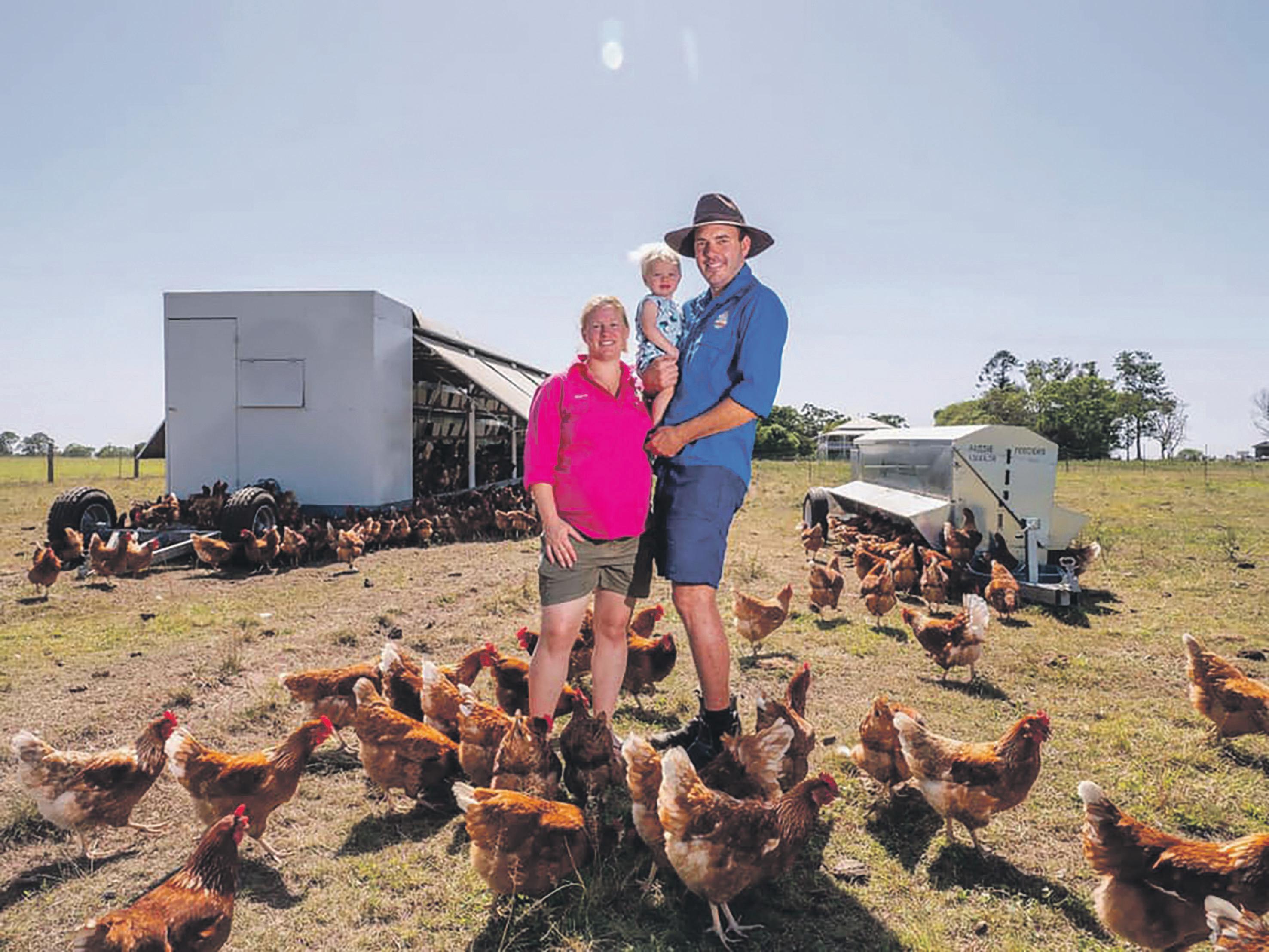 Chook champions have a crack