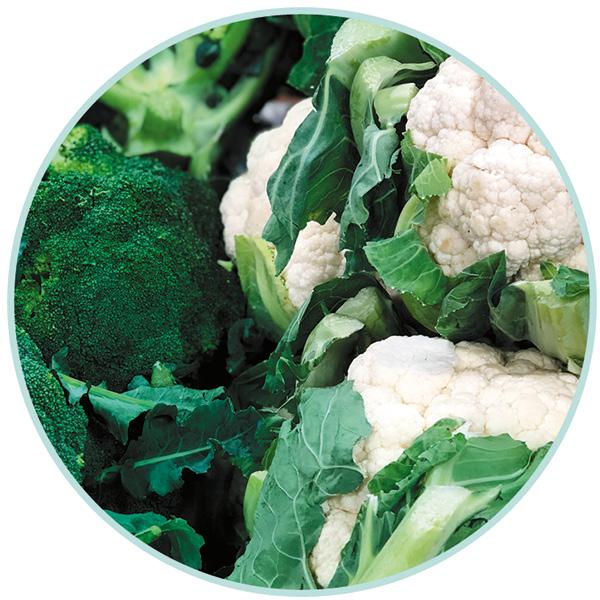 Cover for BEST IN SEASON