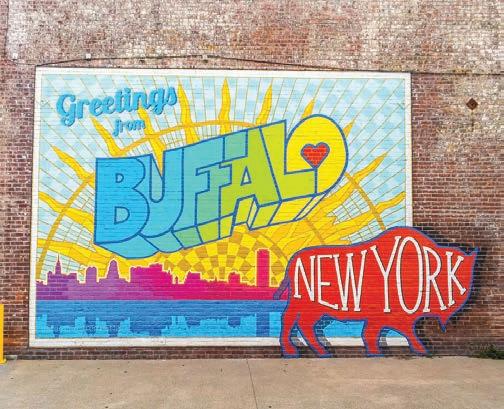 Beautiful Buffalo with Casey