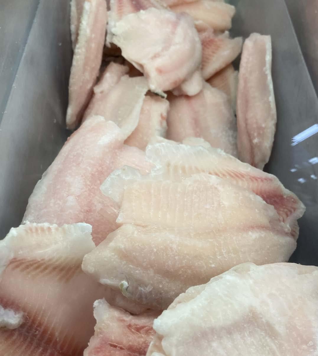Shelf life of fresh fillets from eviscerated farmed tilapia
