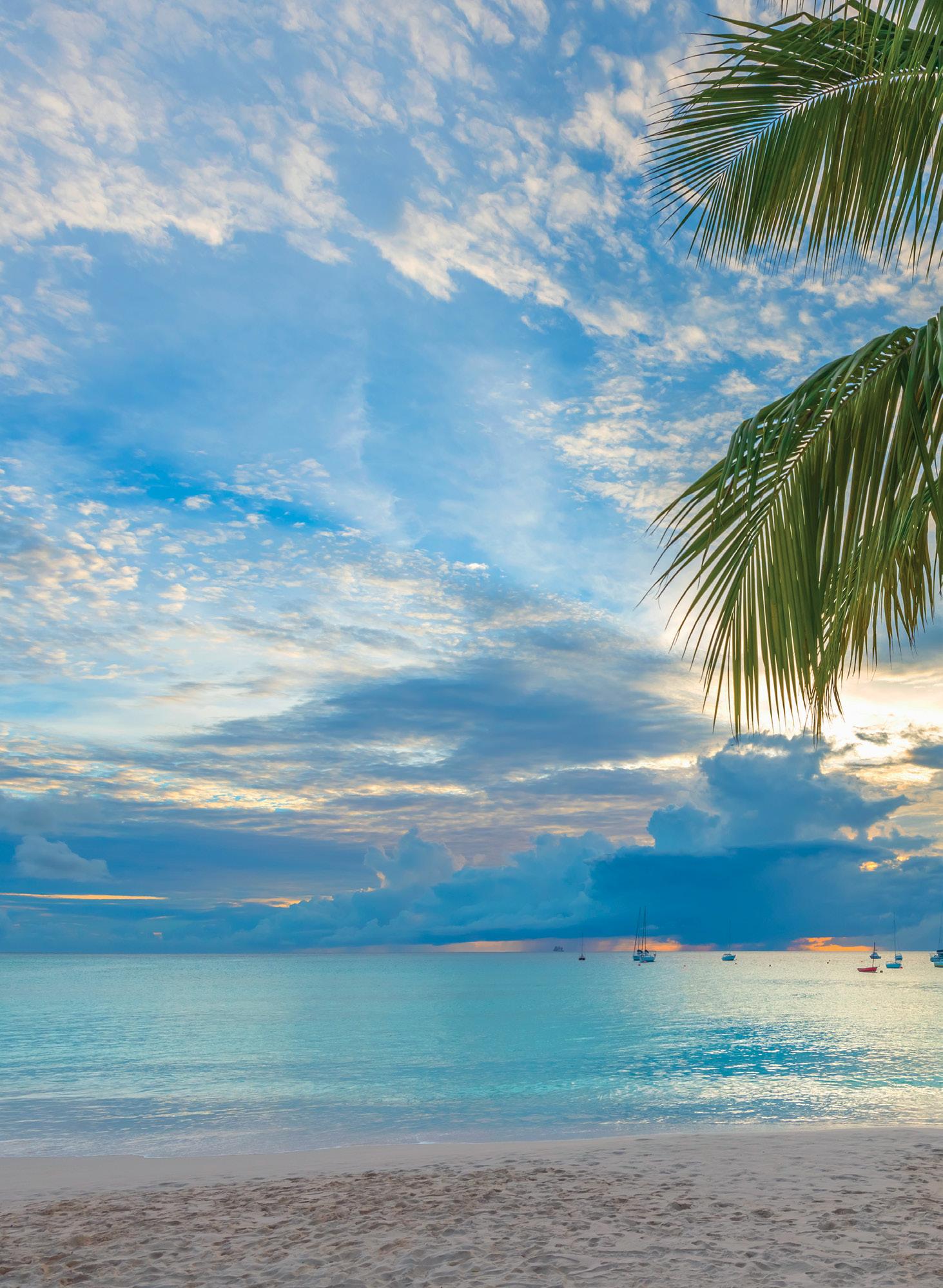 Cover for The Caribbean