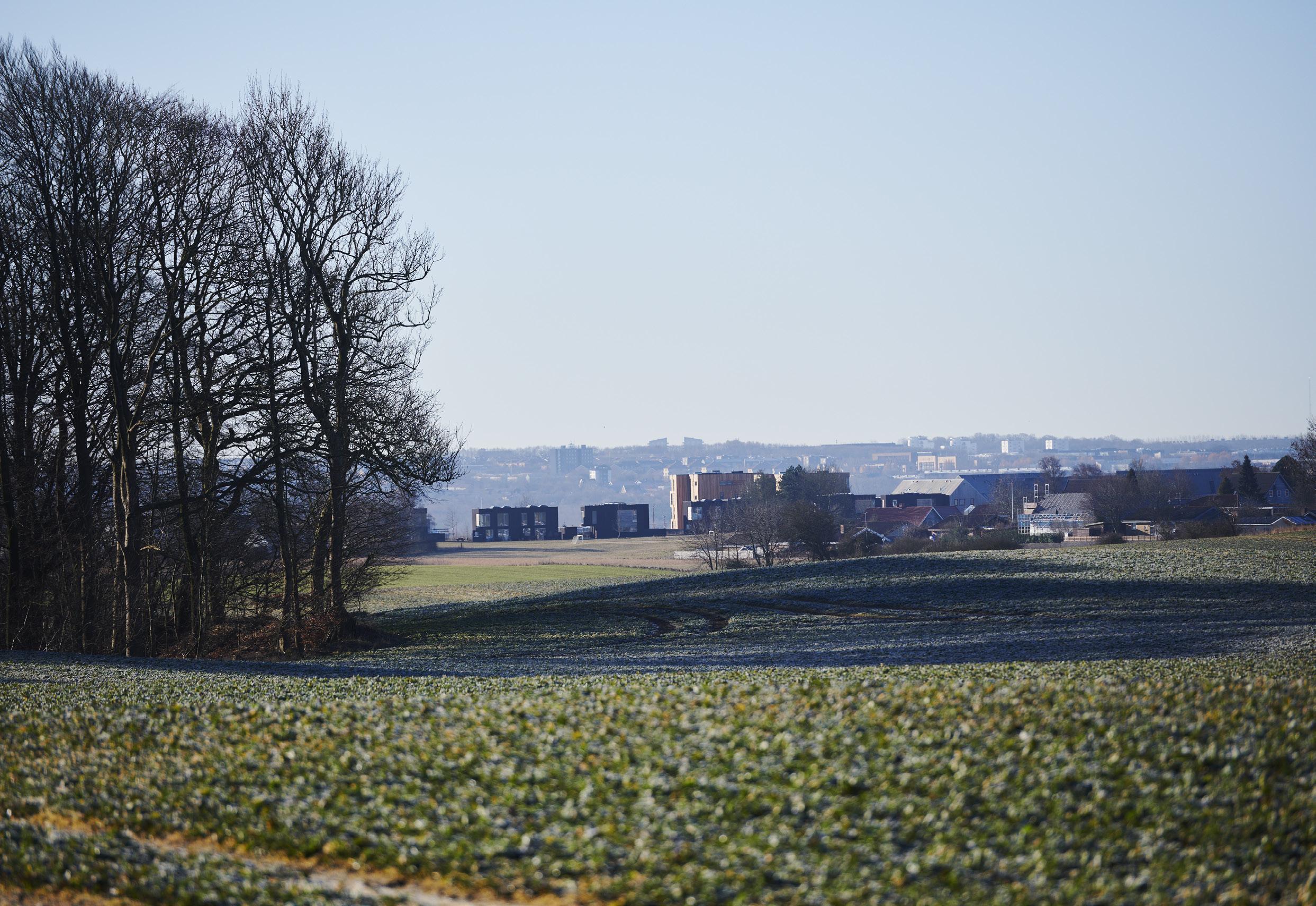 Cover for Naturligt nærvær – når du skal kunne se langt