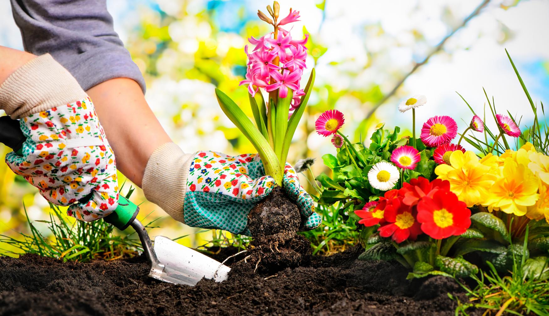 Cover for Your Garden in June