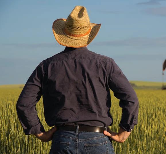 Cover for Best of Pipeline Observer