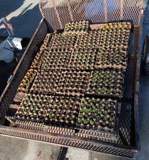 Cover for Audubon International