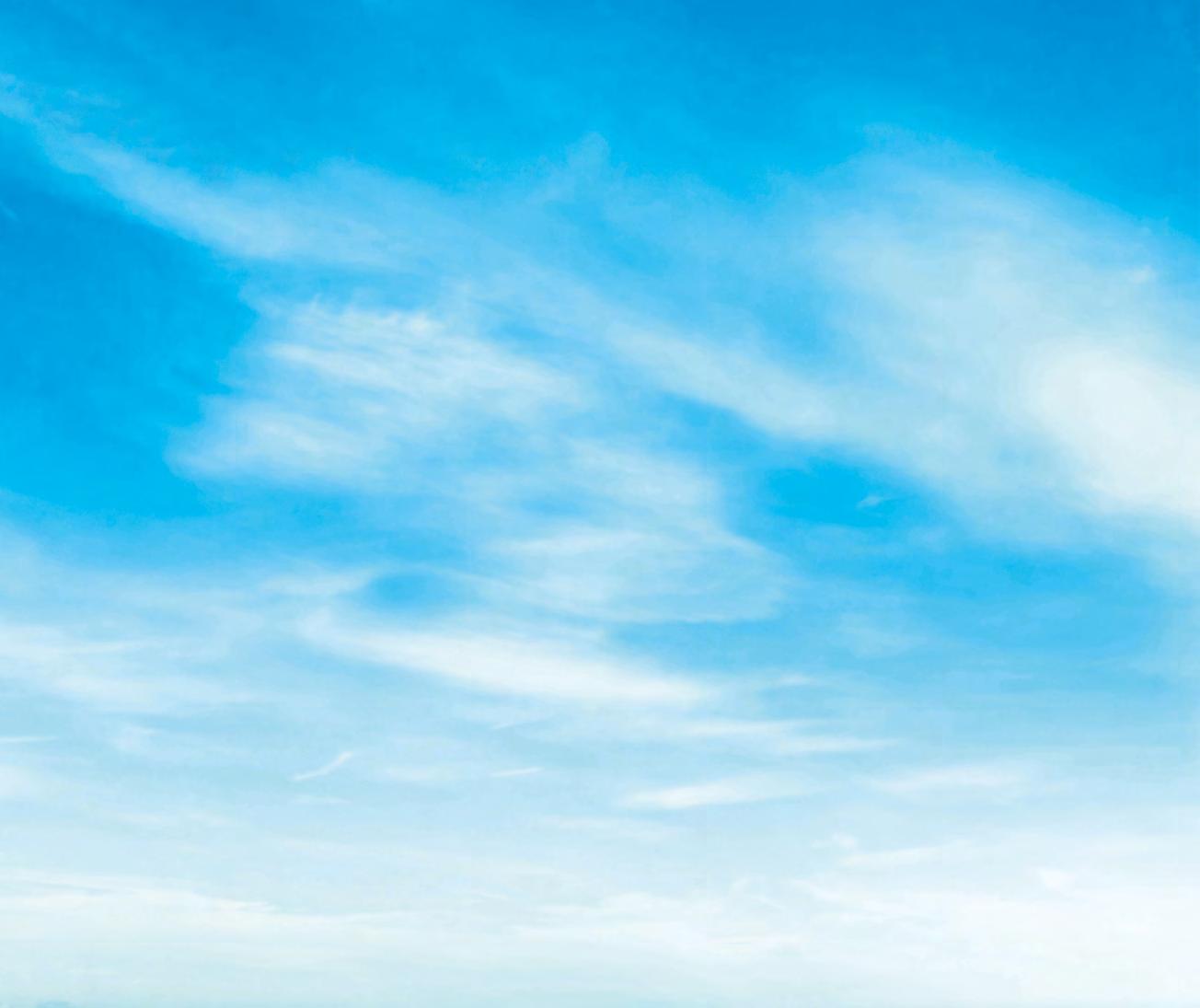 Cover for Dalsbruks Fabrikin tarina ja näkymät