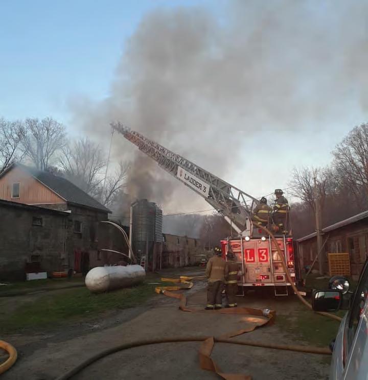 Cover for Baffoni’s Farm