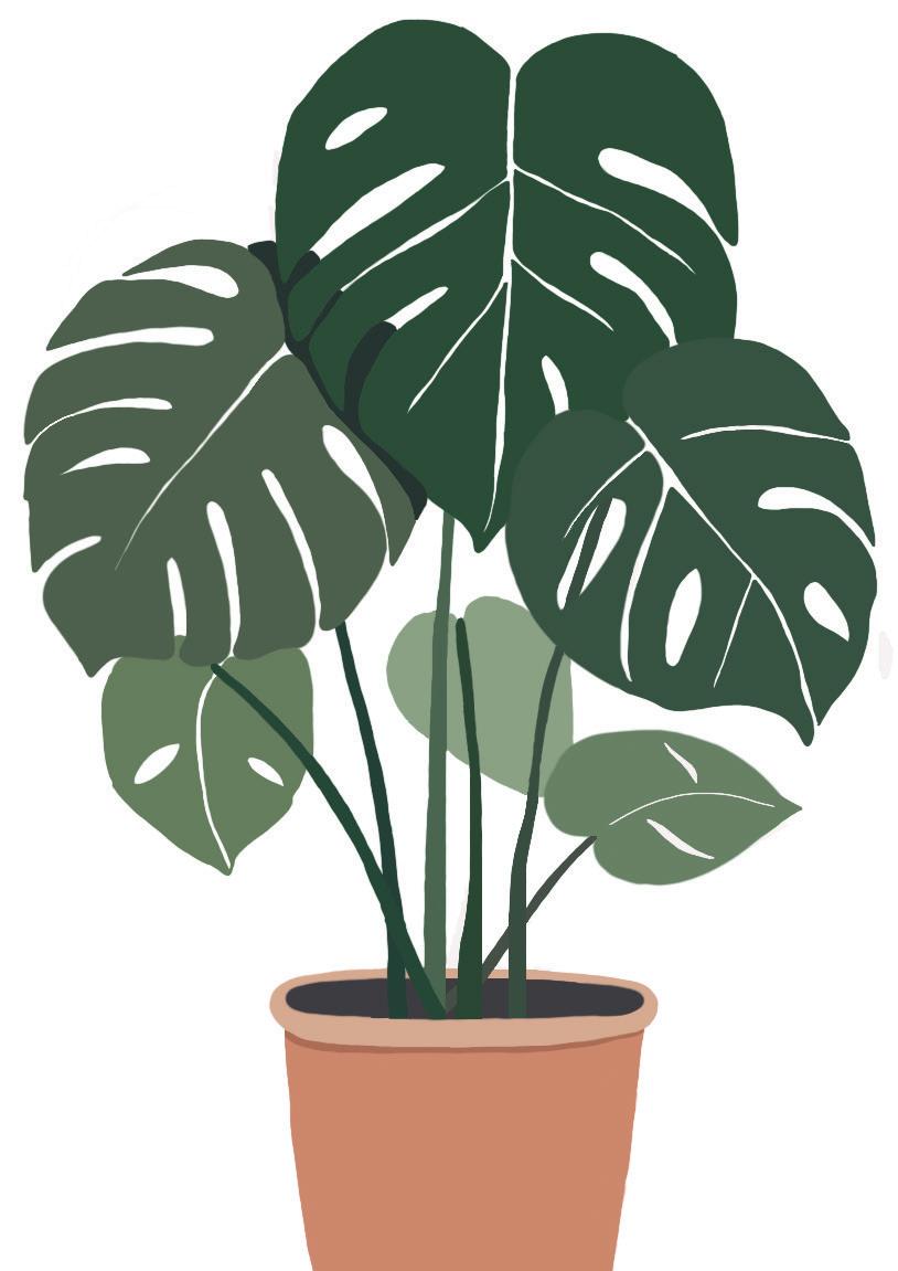 Plants & Pets
