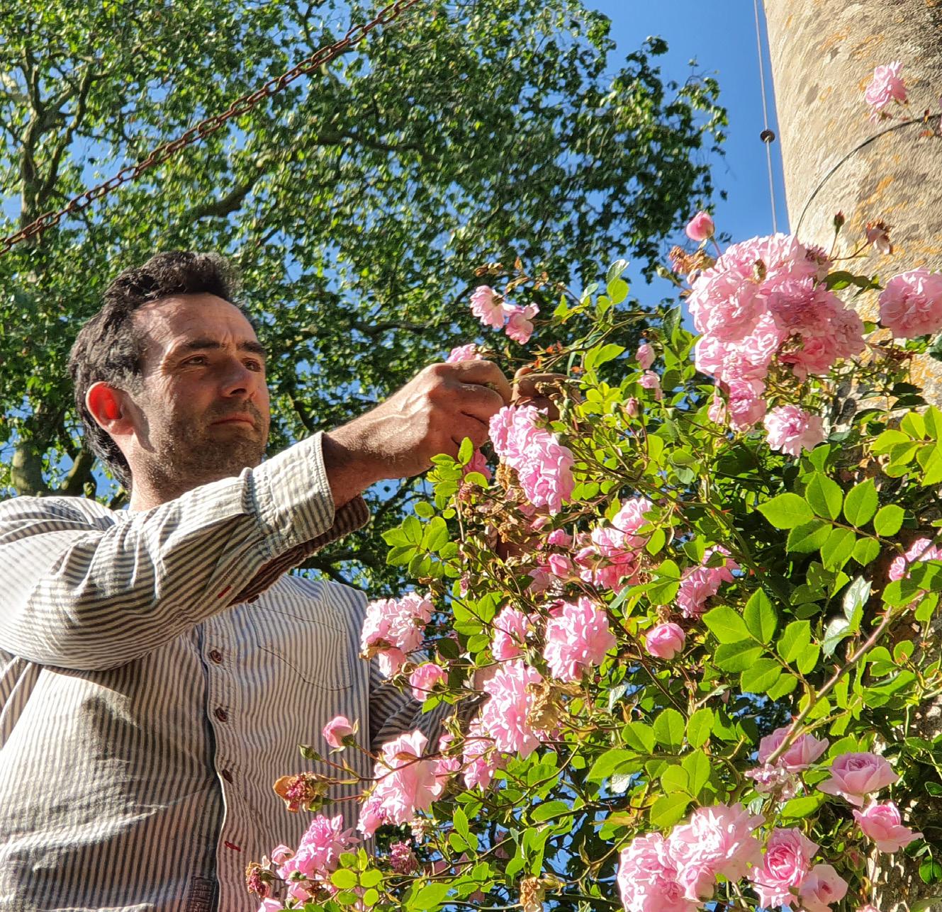 Troy Scott Smith expertly prunes and ties in historic roses