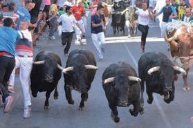 Cover for Festejos: concurso de carteles de los Encierros 30 Nuestros vecinos: Juan Miguel Rosado, actor