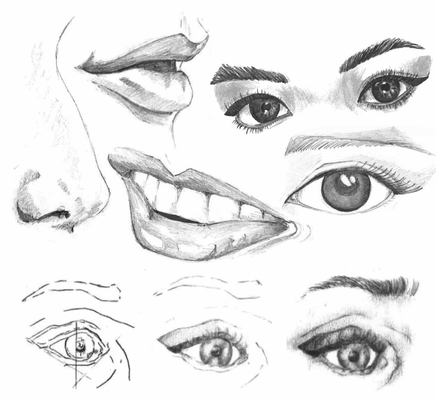 Come Disegnare Un Volto Di Profilo Milk Mash