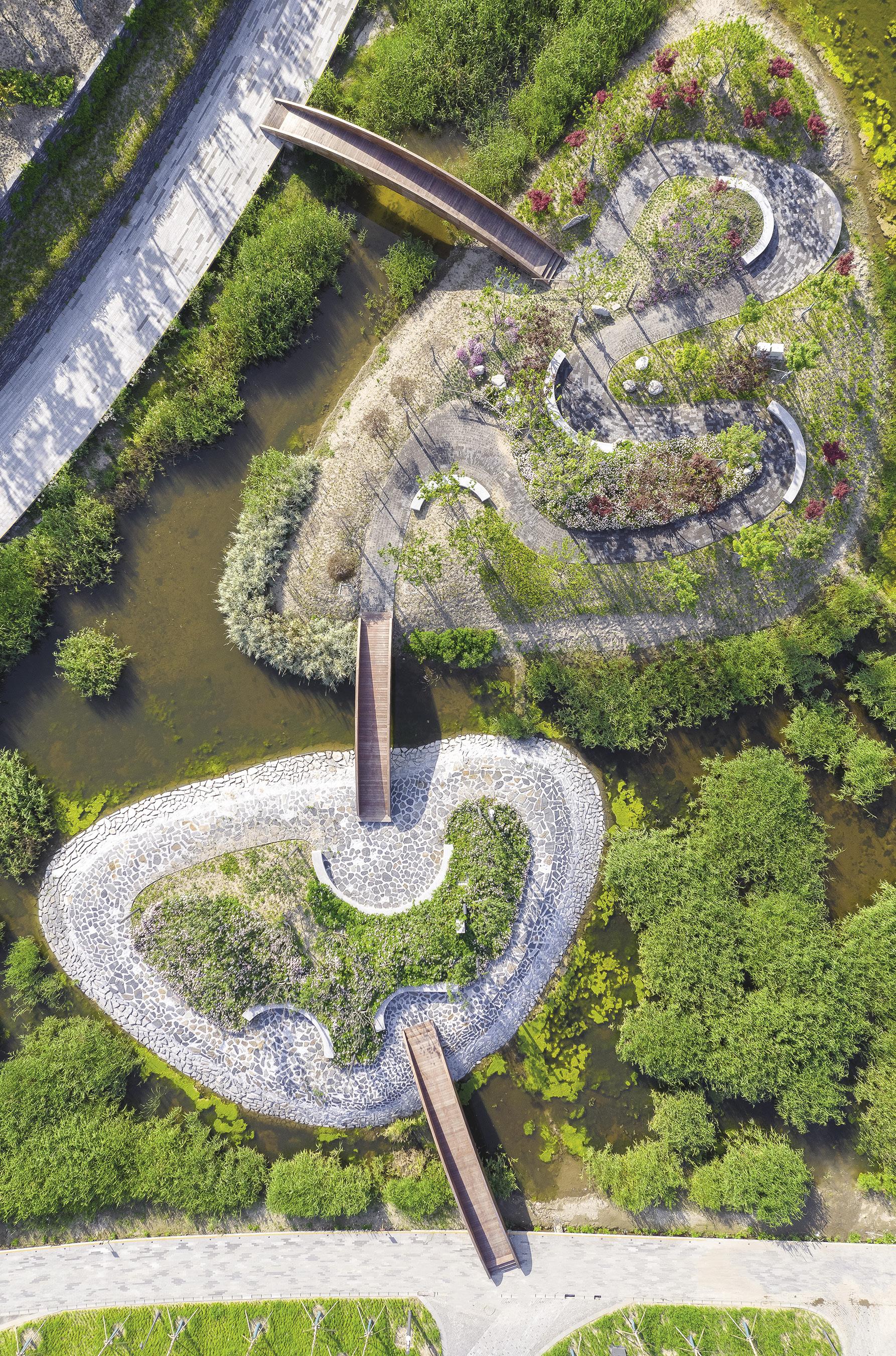 Cover for BACKGROUND CHECK