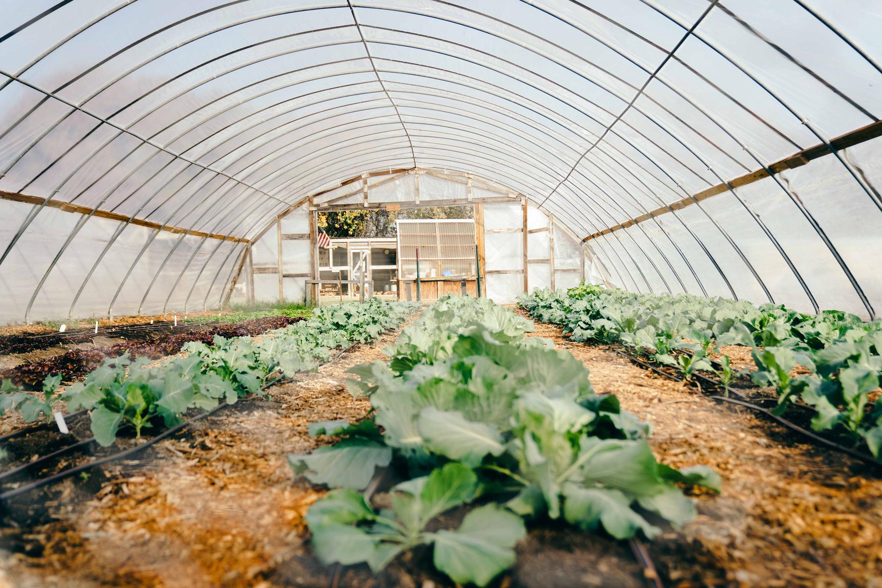 Article from: Serve Denton's Annual Report 2021 - A Year Like No Other