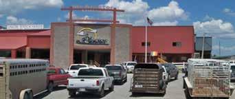 Cover for Amanda Williams