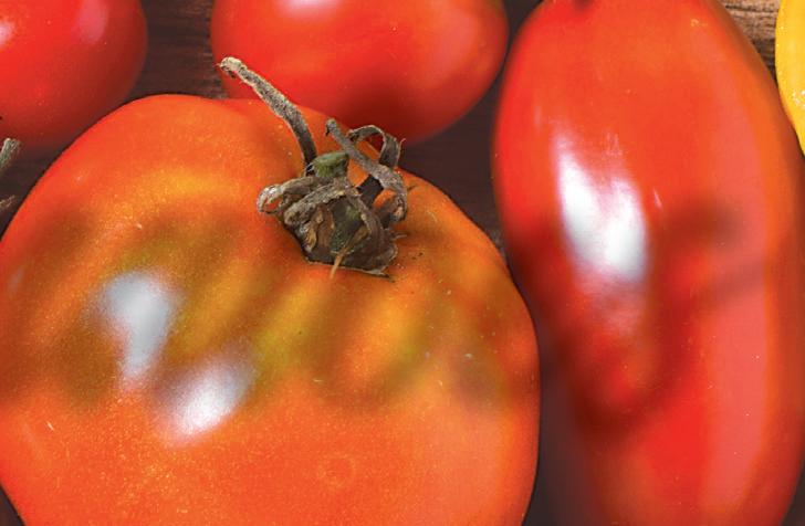 Cover for Farm To Fork