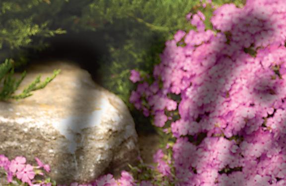 Cover for Garden Jabber