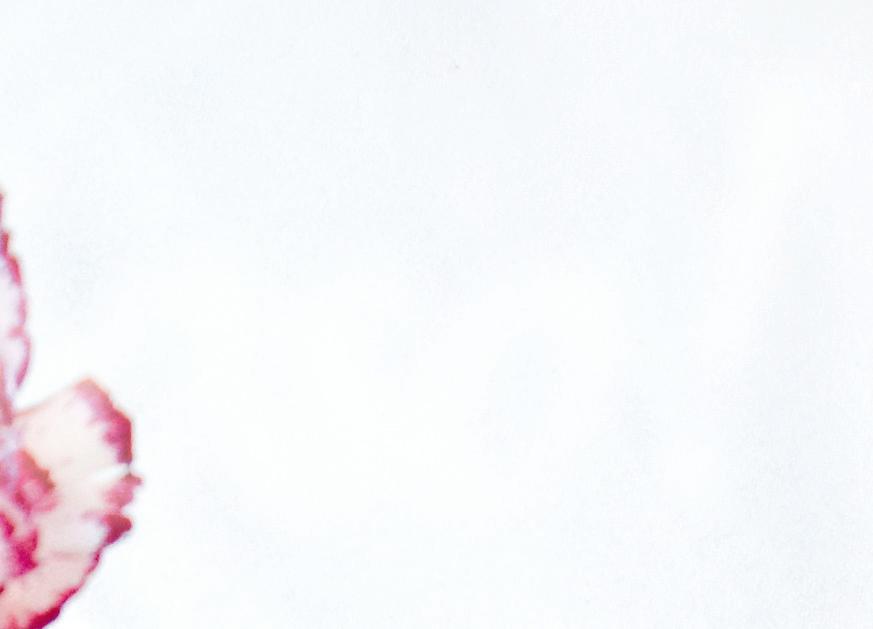 Cover for Restaurant Insider