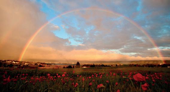 Cover for Los colores del arcoíris
