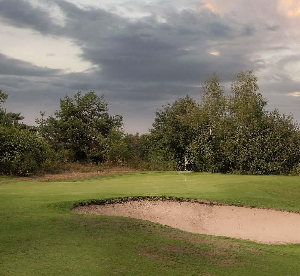 Cover for dan in de honderd jaar ervoor’ �����������������������������������������������������������������������