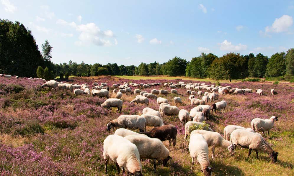 Cover for ‘Golfers vormen een niche,maar zijn wel bereikbaar’ �������������������������������������