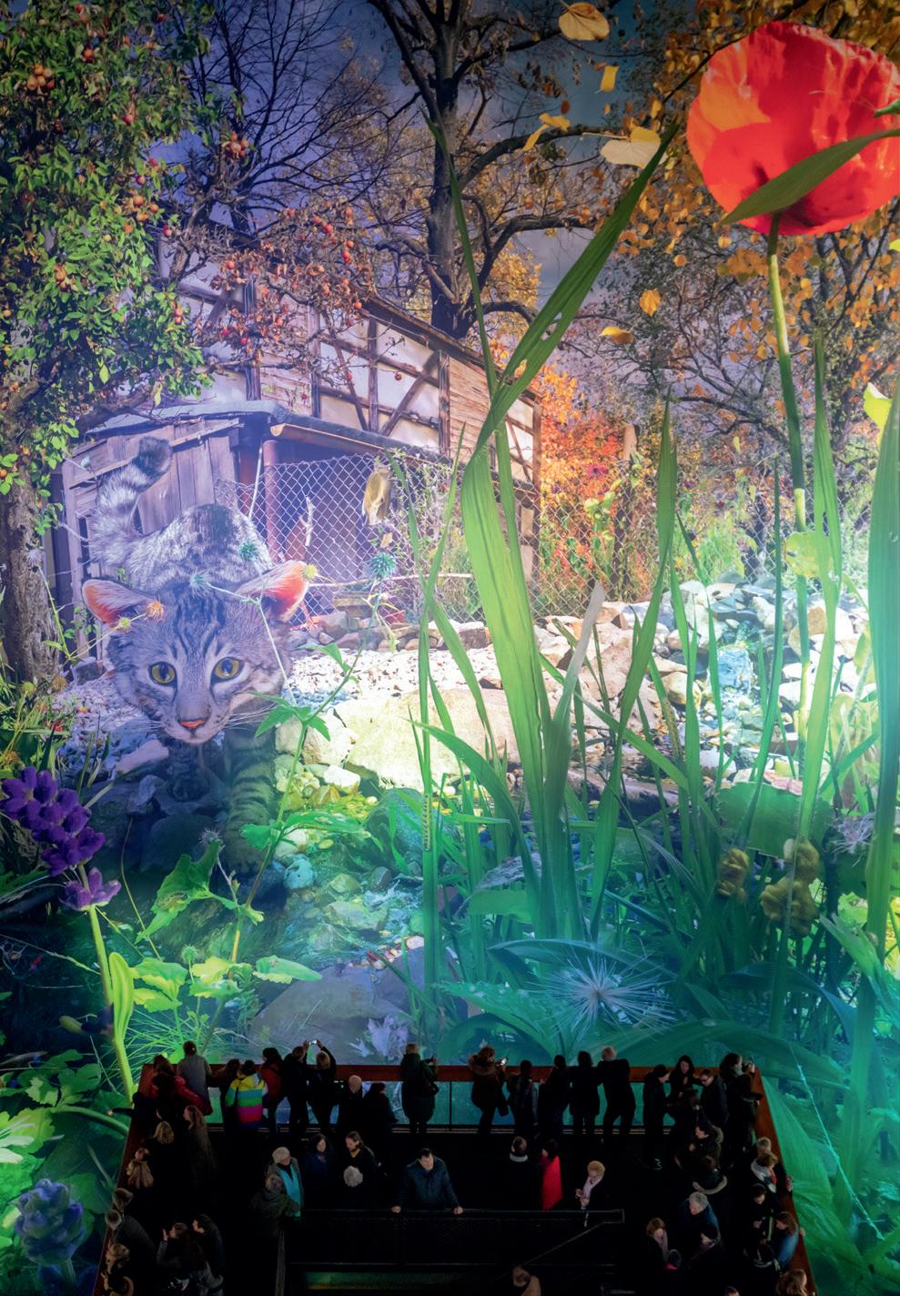 Cover for Leipzig Rückkehr ins Paradies